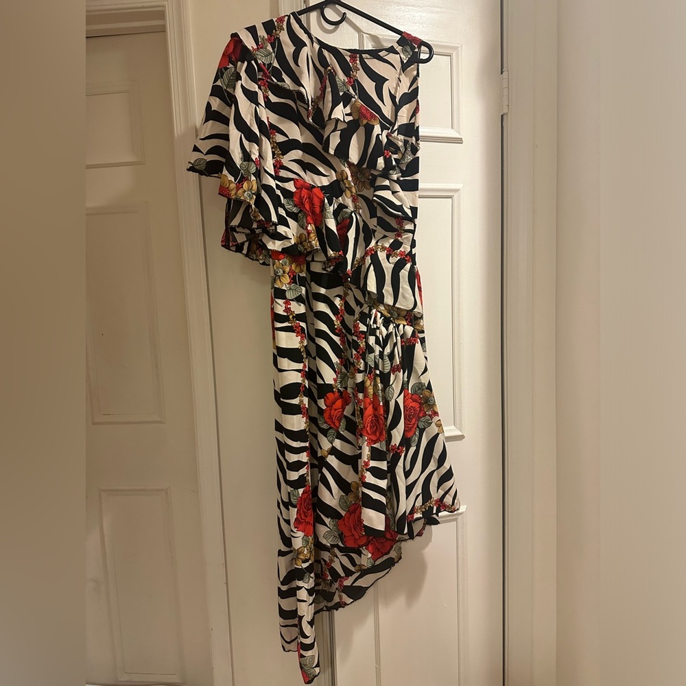“Roses In The Jungle” Custom Dress🌹🦓